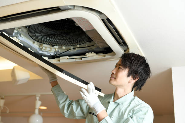 Best Local Air Duct Cleaning Services  in Cypress Quarters, FL